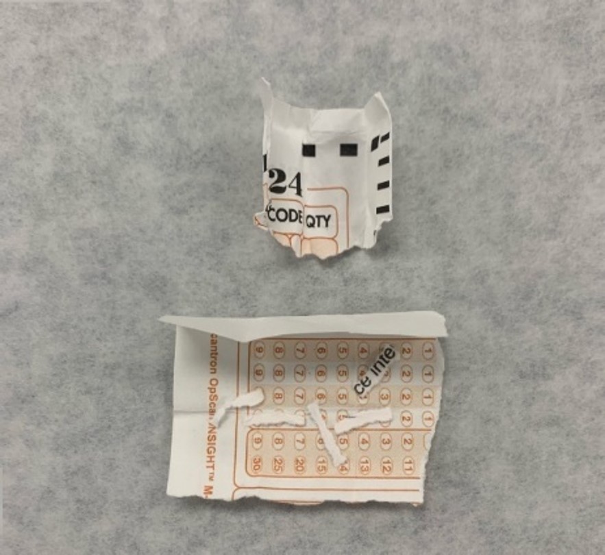syn cann sample from jail 2