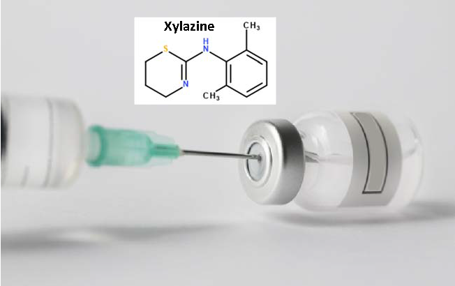 Xylazine: A Toxic Adulterant Found in Illicit Street Drugs